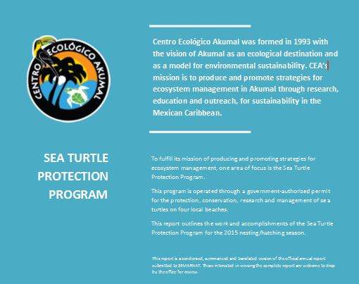 CEA Turtle Program 2015 - AkumalNow