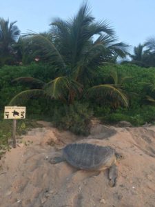 2016-08-27 003 2016-08-27 015