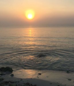 2016-08-27 003 2016-08-27 024